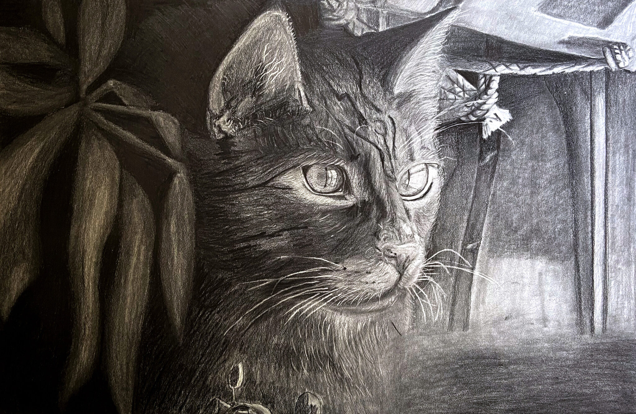 Archimedes 20"X30" Graphite