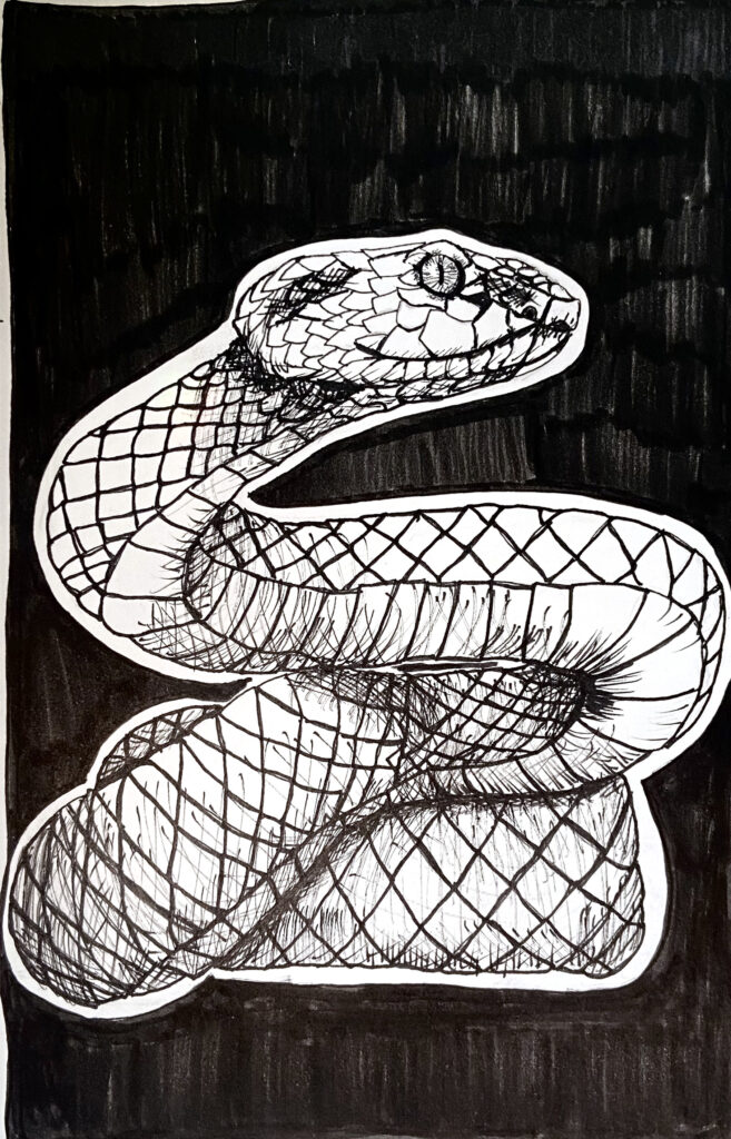 ink snake intober 2023