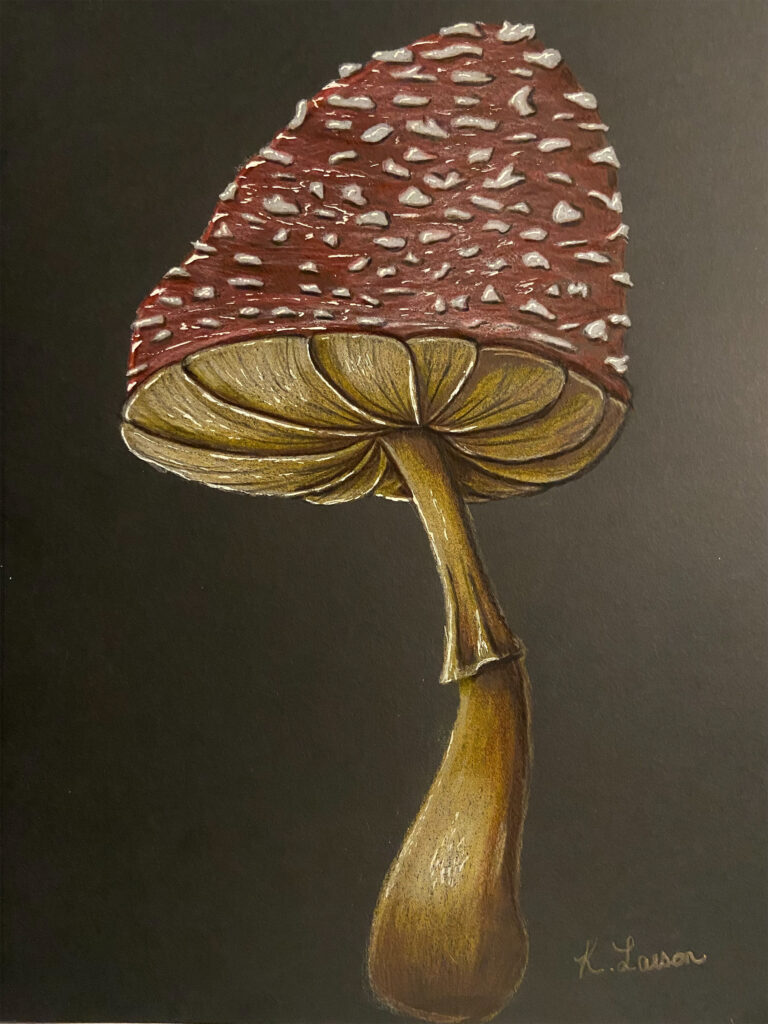 Mushroom 8.5"X11" Color pencil